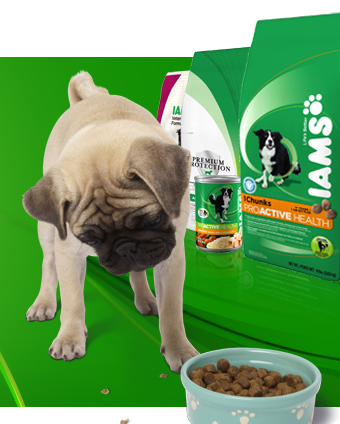ceasers dog food. ceasers dog food. IAMS dry dog food and/or; IAMS dry dog food and/or. APPLENEWBIE. Nov 14, 07:18 PM. From Potus:quot;Charles Carroll,