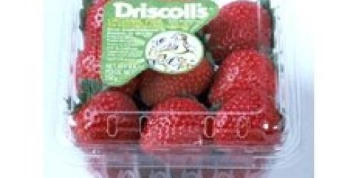 Target: .50 Strawberries & FREE Veggies?!