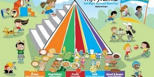 FREE Food Guide Pyramid Poster + More!