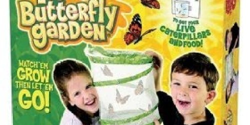 Amazon: *HOT* Live Butterfly Garden Deal!
