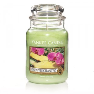Yankee Candle: Large Candles ONLY $6.25!