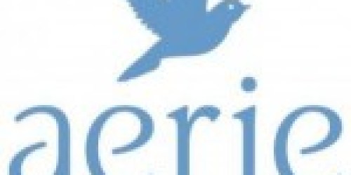 Aerie: FREE Canvas Tote with ANY Purchase!