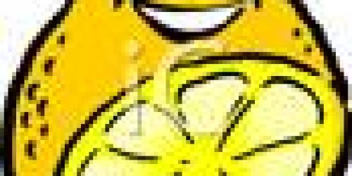 And the Lemon Shirt Giveaway Winners are…