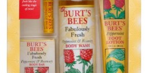 Burt’s Bees Gift Set 50% Off + FREE Shipping!