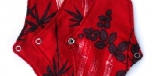 FREE Cloth Feminine Pad + FREE Shipping!