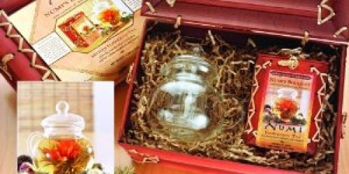 *HOT* Deal on Numi’s Bouquet Bamboo Gift Set with Teapot & Flowering Teas!!