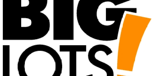 Big Lots: 20% Off ALL Day Sunday (7/18)!