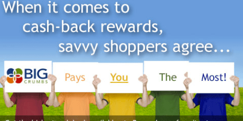 Big Crumbs: Earn Cash Back for Ebay Purchases!