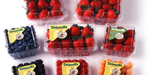 Rare $0.50/1 Driscoll's Berries Coupon (Available Again!)