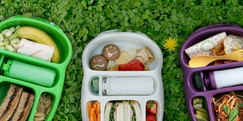 Gilt: Goodbyn Lunchbox Only $2.95 Shipped