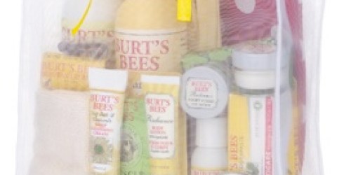 2 Burt's Bees Grab Bags $40 Shipped ($100 Value!)