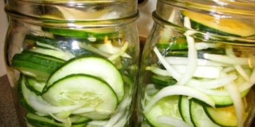 Cooking with Collin: Homemade Pickles