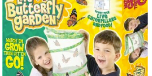 Amazon: Live Butterfly Garden Only $11.99 Shipped
