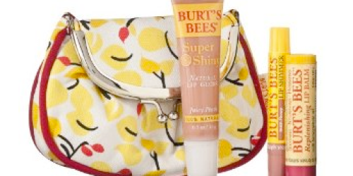 Burt's Bees Change Purse Lip Set $8.99 Shipped