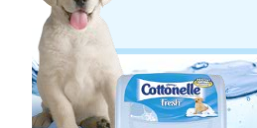 $1/1 Cottonelle Wipes Coupon (Snail Mail)