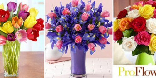 Mamapedia: $30 ProFlowers Voucher Only $15 + FREE Magazine Subscription (or $9.99 Refund!)