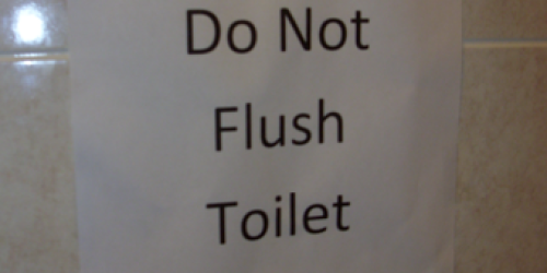 Happy Friday: To Flush or Not to Flush
