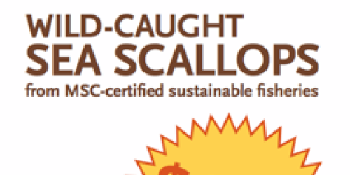 Whole Foods: Sea Scallop Sale (6/10)