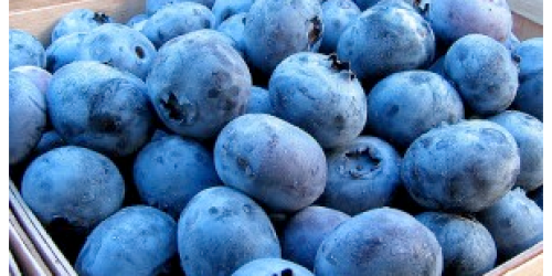 Whole Foods: Organic Blueberries Sale (6/17)