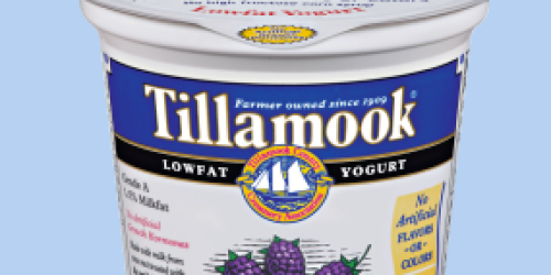 Rare $1/4 ANY Tillamook Yogurt Coupon