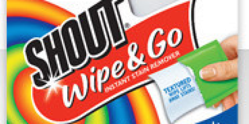 FREE Sample of Shout Wipe & Go Wipes