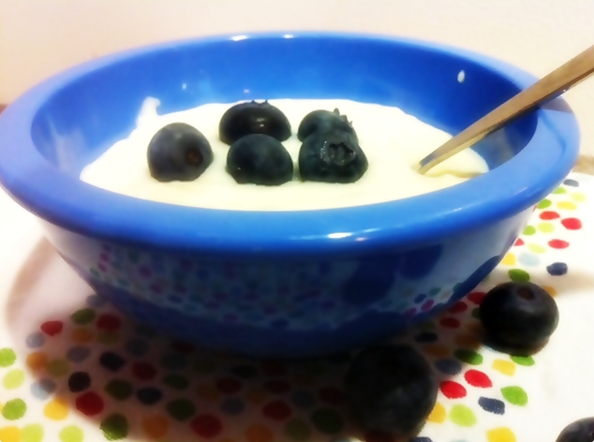 Simple Vanilla Pudding Recipe
