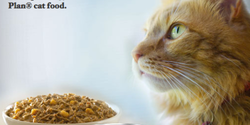 FREE Can of Purina ProPlan Cat Food (Facebook)