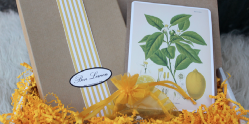 Giveaway: 5 Readers Each Win $50 Bon Lemon Gift Certificates (for Jewelry, Handbags and more!)