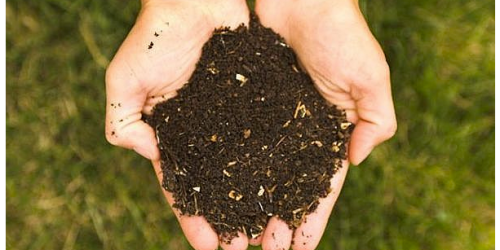 Hip2Save Exclusive: Qualify to Take Survey = FREE Bag of Compost Shipped (a $15 Value!)
