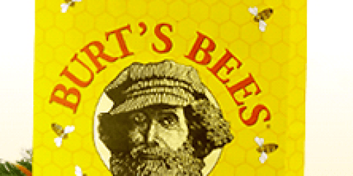 *HOT!* Burt’s Bees Grab Bag Only $20 ($50 Value!)