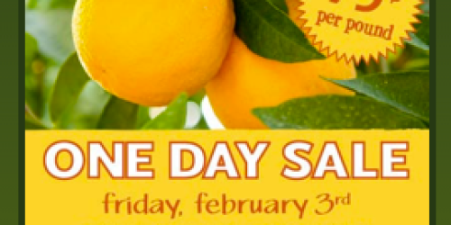 Whole Foods: Organic Navel Oranges Only $0.79/lb (February 3rd)