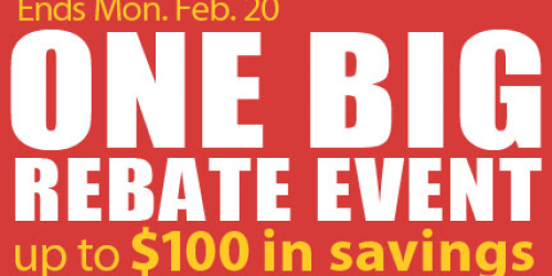 True Value: One BIG Rebate Event = Free 10lb Bag of Scott’s Bird Seed, Paint Brush Set + More