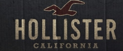 Hollister free deals shipping no minimum