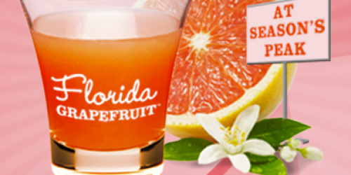Rare $1/1 Fresh Florida Grapefruit or Grapfruit Juice Coupon + Free Knife Rebate Offer
