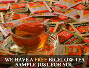 FREE Bigelow Tea Sample (1st 15,000!)