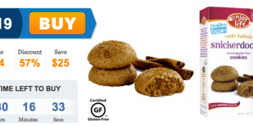 7 Boxes of Enjoy Life Foods Gluten-Free Products (& Coupon) Only $19 + FREE Shipping