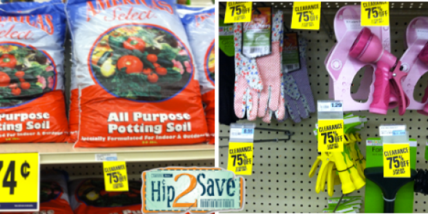 Rite Aid: 75% Off Garden Clearance, Better than Free Automotive Products + More