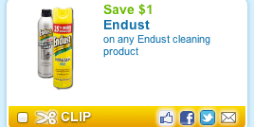 Rare $1/1 ANY Endust Product Coupon