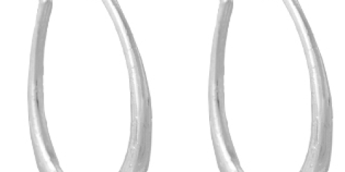 1SaleADay.com: FREE Silver Plated Hoop Earrings + FREE Shipping
