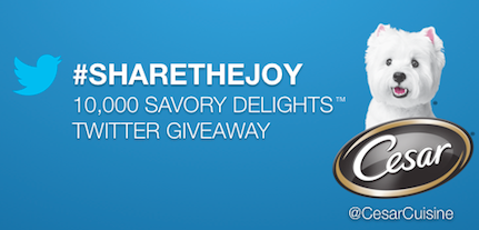 cesar savory delights