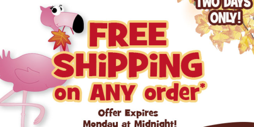 Oriental Trading: FREE Shipping on ANY Order = Great Halloween & Stocking Stuffer Deals