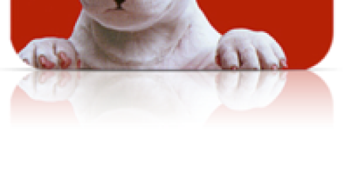 Shopkick: Possible FREE $2 Target Gift Card