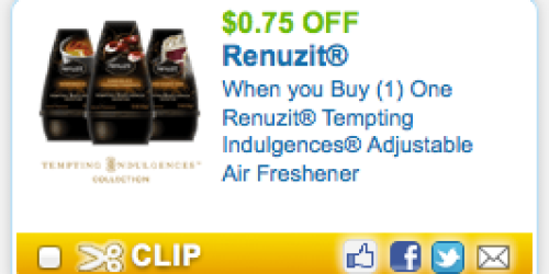 High Value $0.75/1 Renuzit Tempting Indulgences Cone Coupon = As Low As FREE at Target
