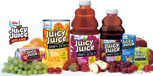 Rare FREE Nestle Juicy Juice Item with the Purchase of Play-Doh 24-Pack of Colors Coupon
