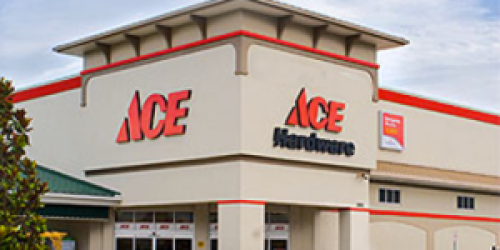Ace Hardware: *HOT* 50% Off One Item Coupon (Valid 11/24 Only)