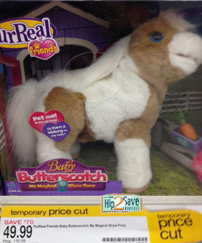 baby butterscotch pony for sale