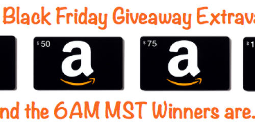 HIP’s Black Friday Giveaway Extravaganza 6AM MST Winners (One Hour to Claim Your Prize!)