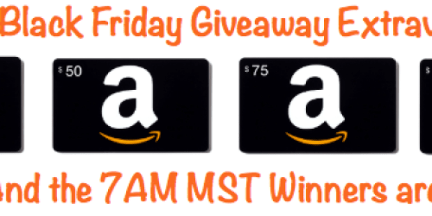 HIP’s Black Friday Giveaway Extravaganza 7AM MST Winners (One Hour to Claim Your Prize!)