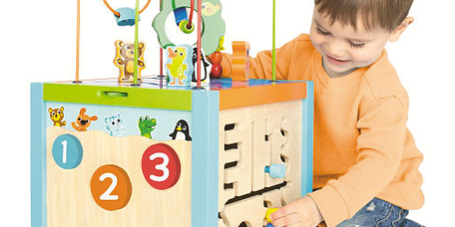 ToysRUs.com: Imaginarium 5 Way Giant Bead Maze Cube Only $14.99 (Reg. $59.99!)