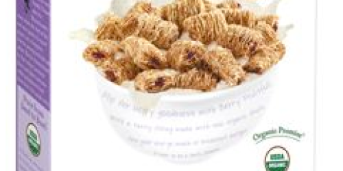 Target: Kashi Berry Fruitful Cereal Only $1, Free Vaseline Lotion, More Holiday Clearance Deals…